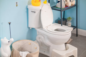 Toilet Training Seat and Potty Chairs